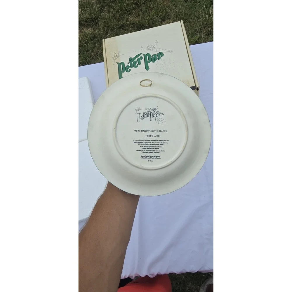 Peter Pans Disney 3D Relief Collectors Plate 